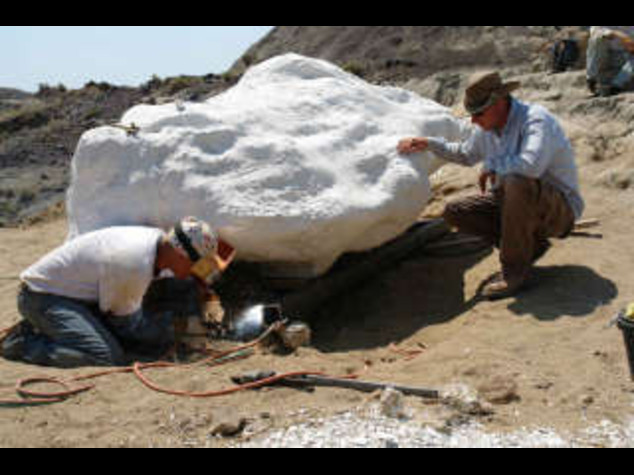 TROVATO IN DAKOTA UN DINOSAURO MUMMIFICATO