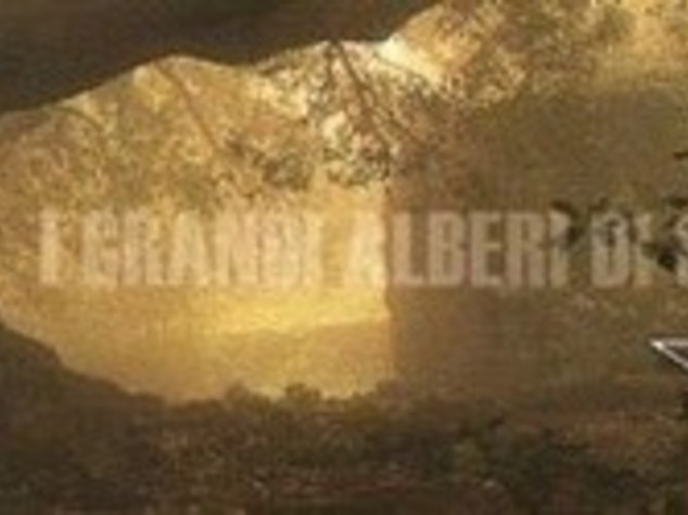 TUTELA DELL'AMBIENTE: LA SICILIA VERDE FA SISTEMA
