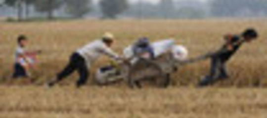 AGRICOLTURA: REGOLE PIÙ SEVERE