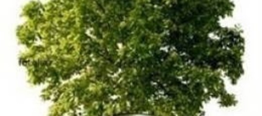 CRESCE L'ITALIA DEL RINNOVABILE