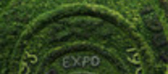 EXPO 2010: LE CRITICHE DEI CINESI