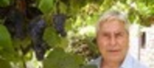 DIRETTORE DI ENOPRESS E PRESIDENTE DELLA SOCIETA' AGROTECH