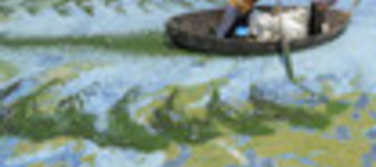 VANO LO SFORZO VERDE PEGGIORA L'INQUINAMENTO