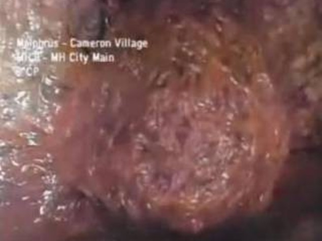 USA: UN "BLOB" MOSTRUOSO NELLE FOGNE, PANICO IN NORTH CAROLINA