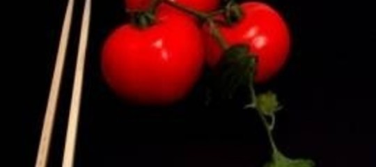 MADE IN ITALY A RISCHIO NEL SUGO