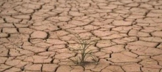 TOKYO: RIPRESO IL FLUSSO DI TERRE RARE