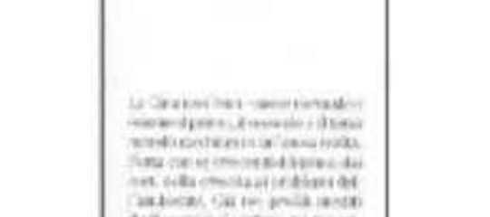 Professore di Storia della Cina contemporanea presso l'Università Ca' Foscari di Venezia. Recentemente ha pubblicato per Einaudi, Cina, ventunesimo secolo, una prosecuzione de La Cina del Novecento.