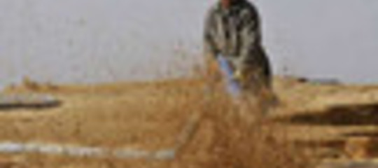 TERRE RARE: NUOVI LIMITI PER IL 2011