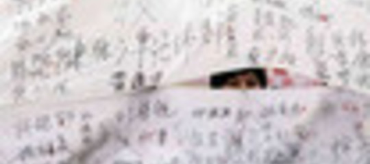 LAND GRAB GUANGDONG GOVERNO "PIU' CONTROLLI"