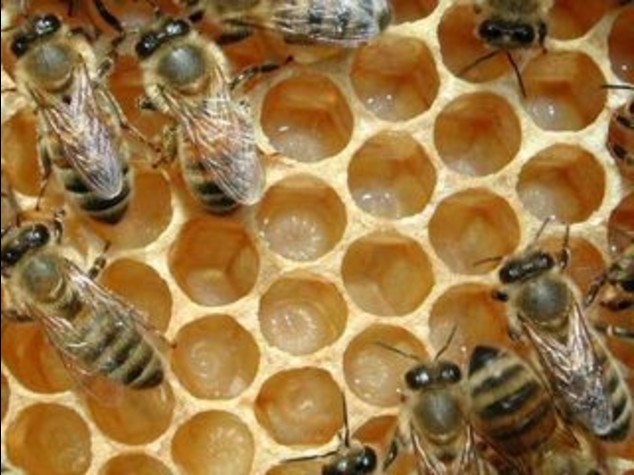 API: TORNANO A RONZARE IN PIANURA PADANA