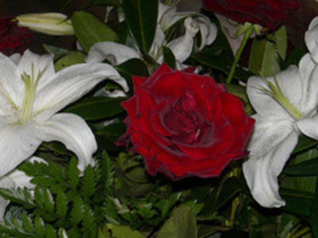 BOUQUET TRICOLORE PER SIGNORE DEL FESTIVAL