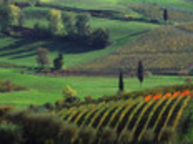 MADE IN ITALY: DALLA MONTAGNA I PRODOTTI TIPICI DI QUALITA'