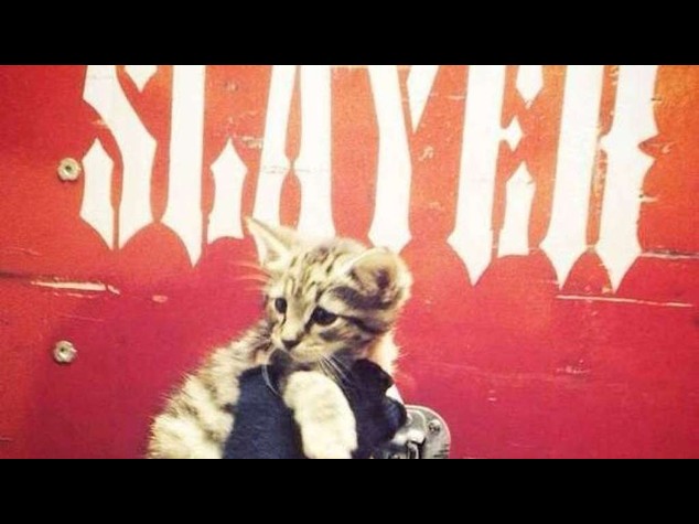 Il rude gruppo metal Slayer salva una gattina