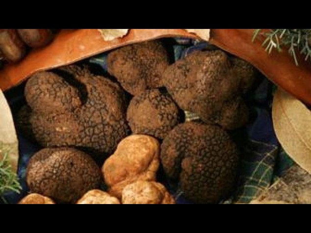 Consumi: Coldiretti, prezzi raddoppiati per il tartufo