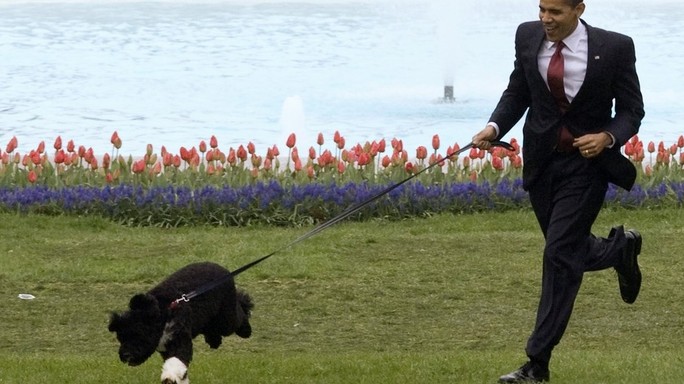 Si crede Gesù e tenta di rapire i cani di Obama
