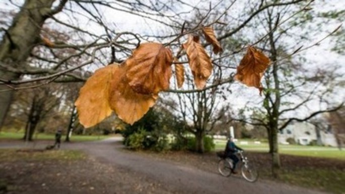L'autunno muove i primi passi, da giovedi' temporali