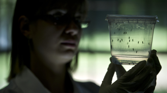 Zika, in Texas primo contagio per via sessuale