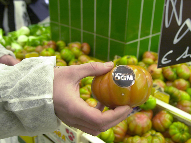 Monta in Iran la protesta contro gli ogm