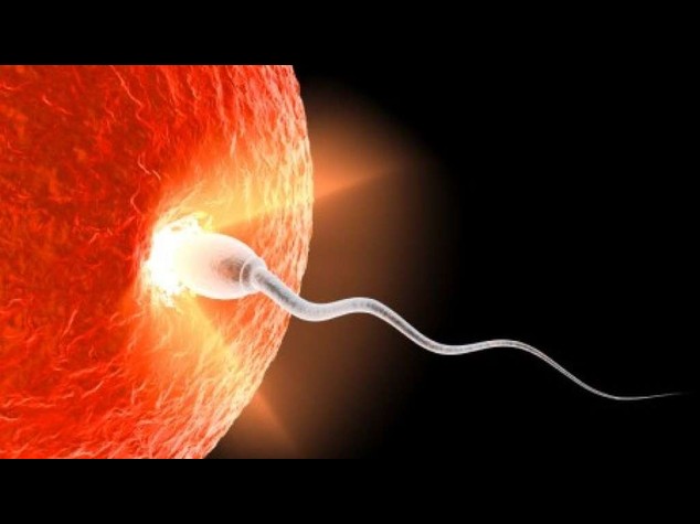 Prove scarse su legame tra cancro e farmaci fertilita'