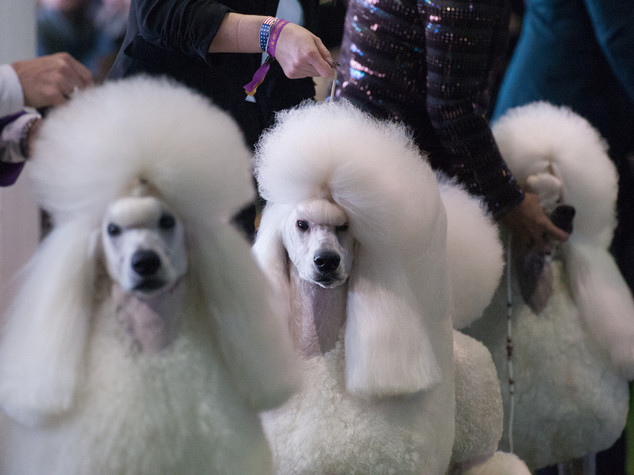 Ultime Notizie Online Agenzia Giornalistica Italia Agi