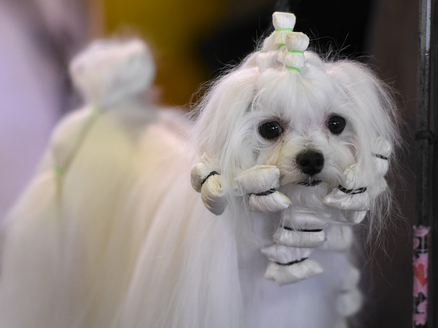 Ultime Notizie Online Agenzia Giornalistica Italia Agi