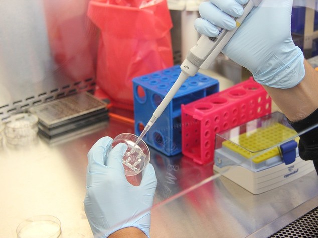 Genetica molecolare: Ingm, responsabilitita' sociale per crescere
