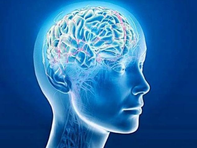 La curcuma nuovo alleato contro Alzheimer e ictus