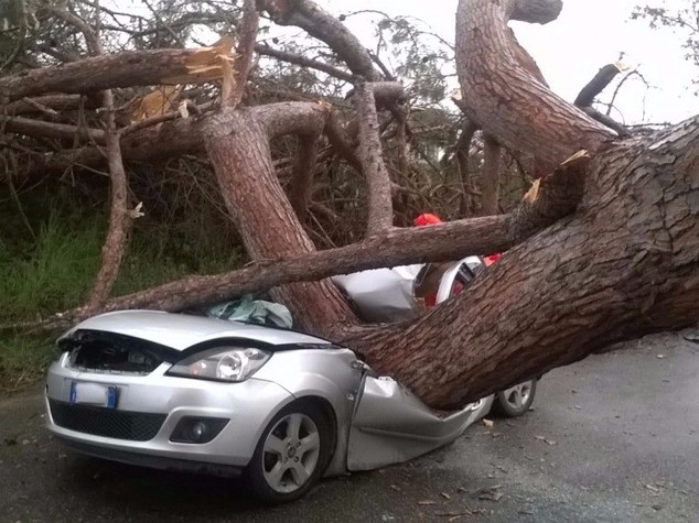 Albero cade su auto vicino a Roma, due morti - Foto