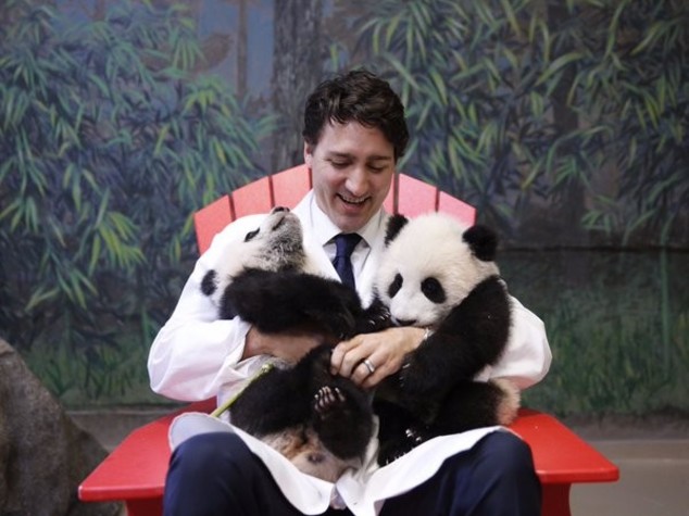 Canada: primo ministro e i cuccioli di panda, foto su Twitter