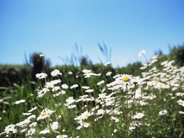 Meteo: la primavera spicca il volo, ma non per molto