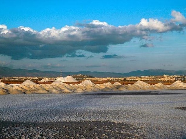 Ambiente: intesa Eni-Fai per valorizzare saline Cagliari