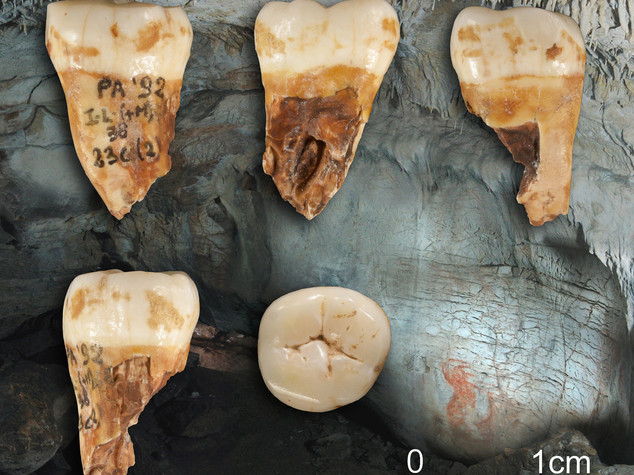 Dal Dna l'identikit degli europei nell'Era glaciale