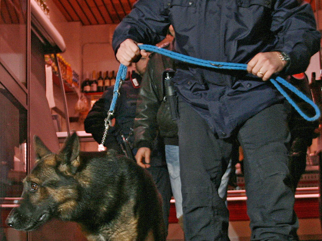 Il cane-carabiniere scova cocaina nello scarico, un arresto nel Crotonese - VIDEO