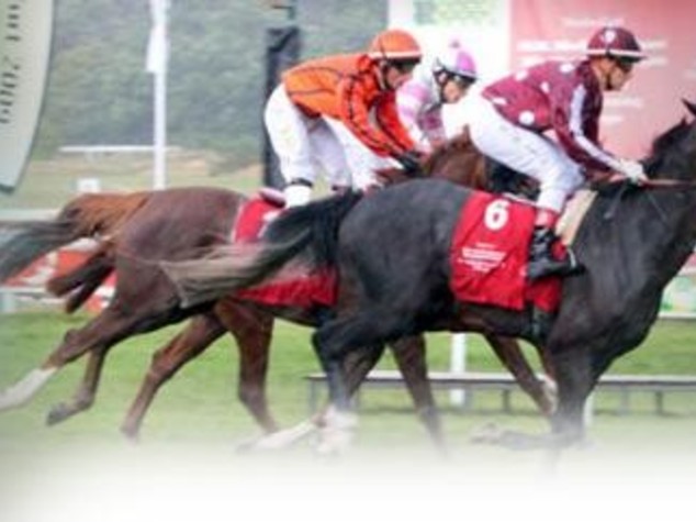 Italia-Emirati: a Roma la World arabian horse racing conference