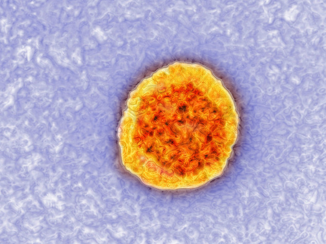 Epatite C: esperti, obiettivo nuovi farmaci a tutti i pazienti