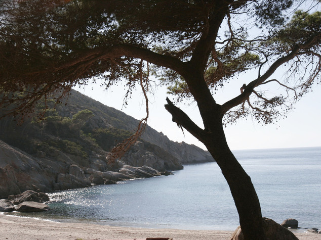 Ambiente: Cfs, il fotovoltaico sbarca nell'isola di Montecristo