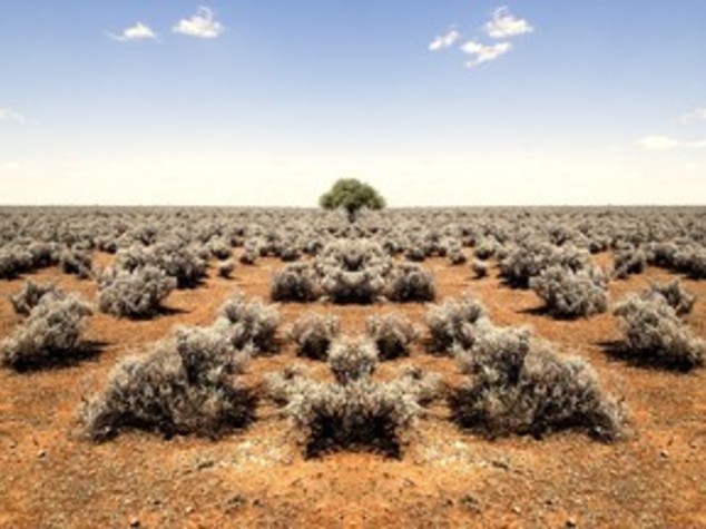 Giornata desertificazione: Wwf, almeno 40% terre emerse e' a rischio