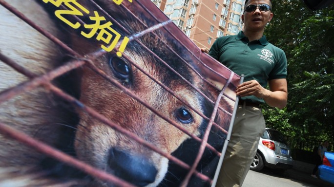 Al via festival della carne di cane in Cina