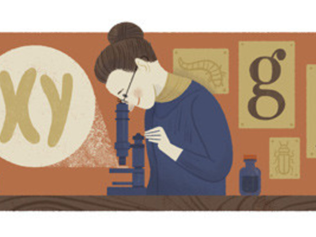 Doodle 'genetista' per Nettie Stevens e il cromosoma Y