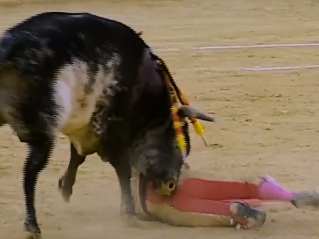Muore incornato torero, primo in 31 anni in Spagna