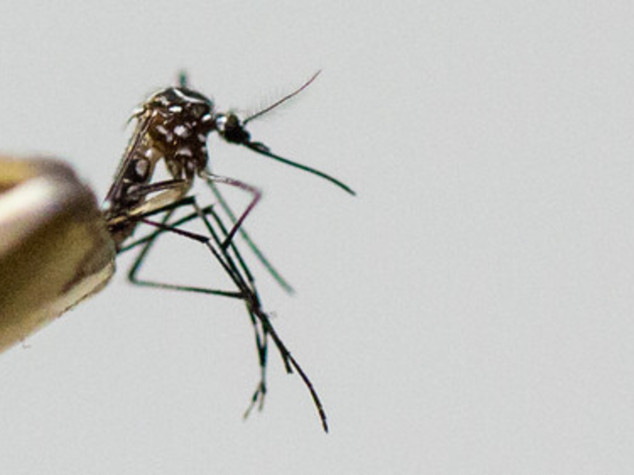 Sanita':caso di Chikungunya nel Reggiano,disinfestazioni in corso