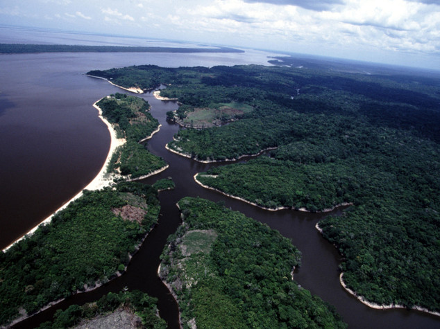 Clima: siccita' blocca capacita' assorbimento Co2 dell'Amazzonia