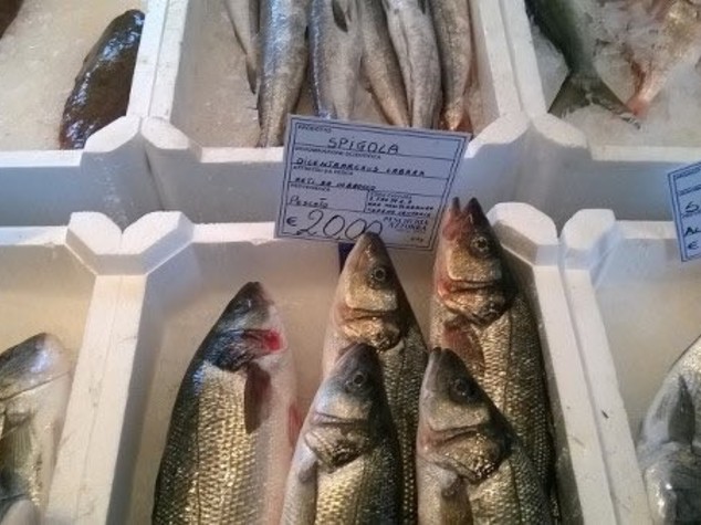 Consumi: Coldiretti, fermo pesca in Adriatico 1 su 3 non lo sa