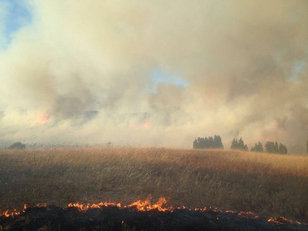 Incendi in calo, -25% rispetto all'estate 2015