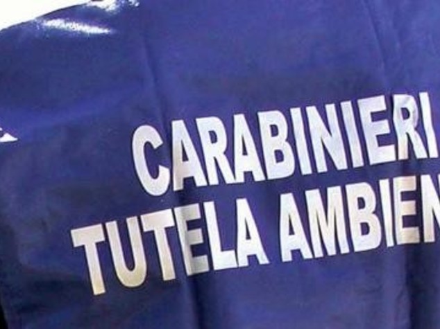 Ambiente:rafforzata collaborazione regione Fvg e Carabinieri Noe