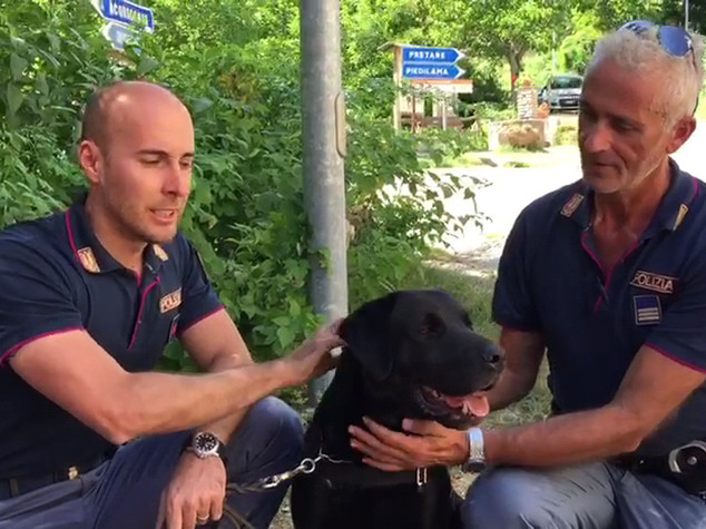 Leo, il cane-eroe che ha salvato la piccola Giorgia