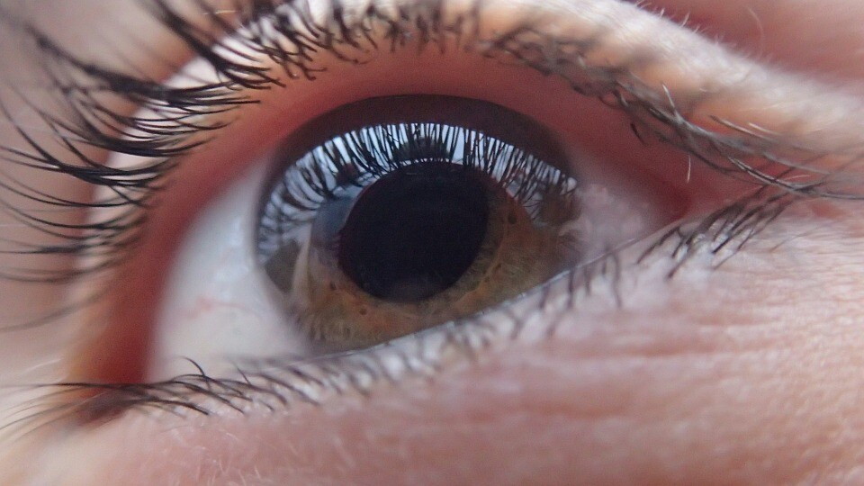 Trapianto di cornea, quasi 8.500 pazienti hanno ritrovato la vista nell'ultimo anno