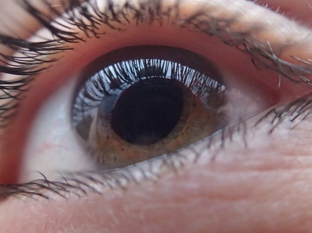 Salute: trapianto cornea, successo in bimbi con piu' di 5 anni