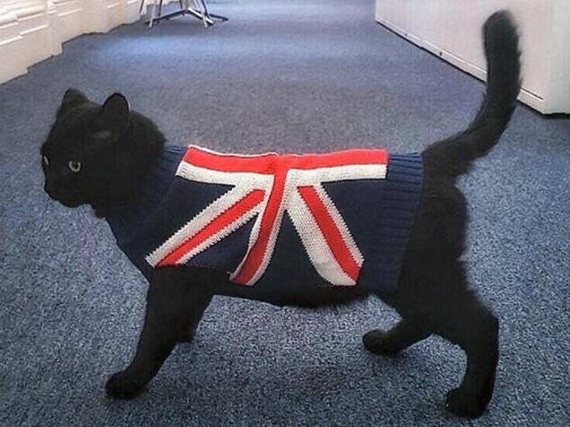 Tutti pazzi per Gladstone, l'acchiappatopi del Tesoro inglese