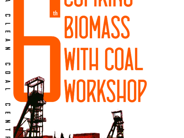 Energia: carbone e biomasse, a Carbonia workshop internazionale